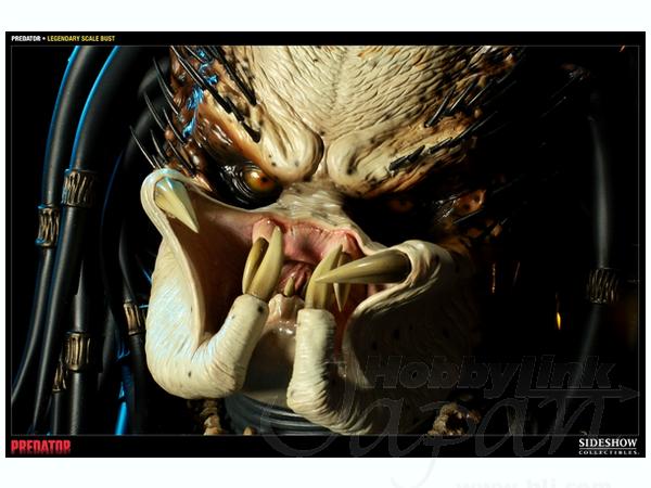 プレデター レジェンダリースケール バスト | HLJ.co.jp