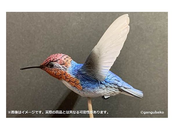 1/1 マメハチドリ 1Box 4pcs | HLJ.co.jp