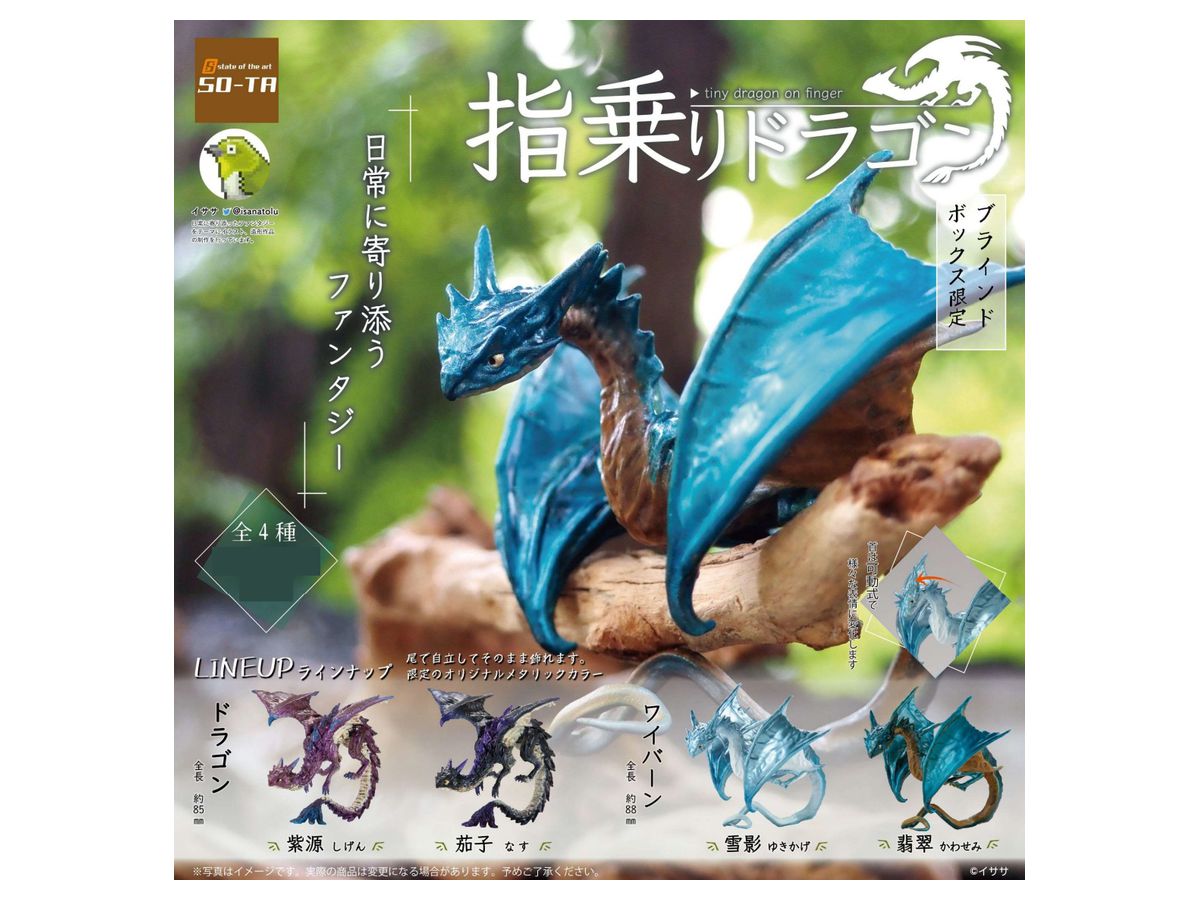 指乗せドラゴン Amazon.co.jp: [SO-TA] 指乗せドラゴン -クリアver.- 全4種