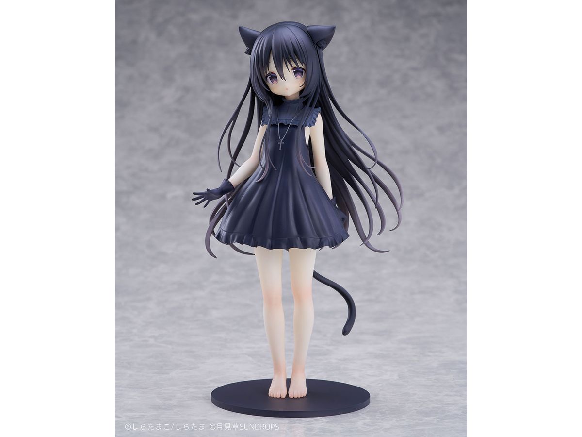 1/7 星空鉄道とシロの旅 ノワール | HLJ.co.jp