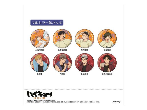 ハイキュー!! 缶バッジコレクション 1Box 9pcs | HLJ.co.jp