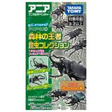 アニアくじ4 森林の王者 昆虫コレクション 1Box 8pcs | HLJ.co.jp