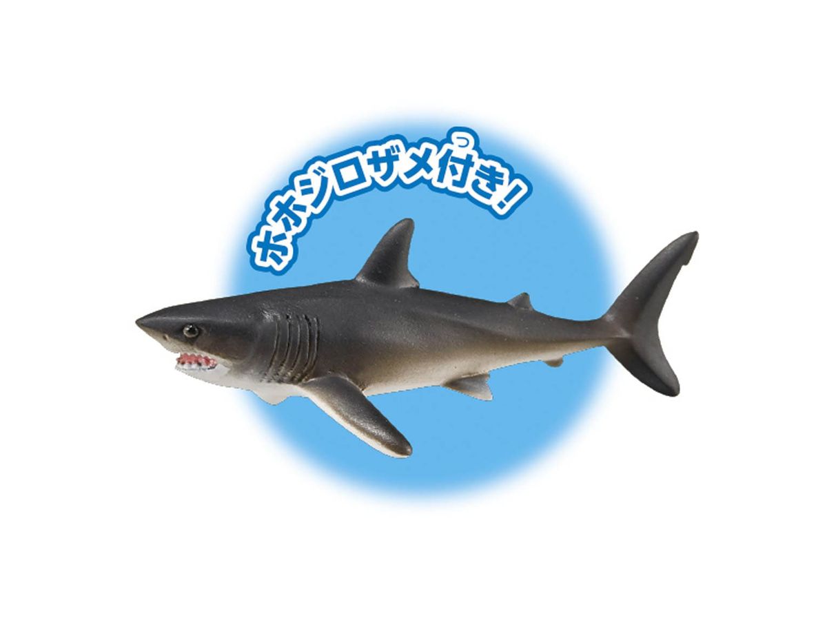 アニア Al 11 メガロドン 水に浮く Ver By タカラトミー ホビーリンク ジャパン アニア Al 11 メガロドン 水に浮く Ver By タカラトミー ホビーリンク ジャパン