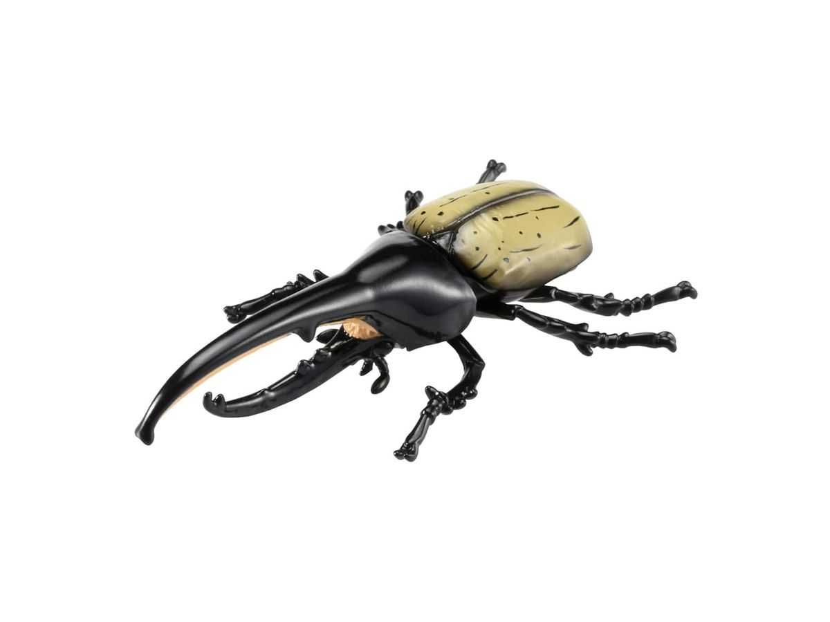 アニア AS-38 ヘラクレスオオカブト | HLJ.co.jp