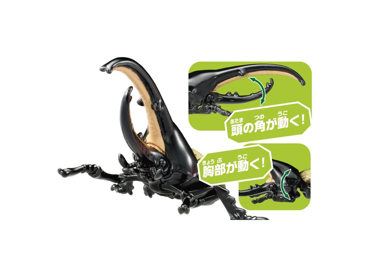 アロエ　ヘラクレス　3号 Amazon.co.jp: ヘラクレス(HERCULES): PEライン 汎用