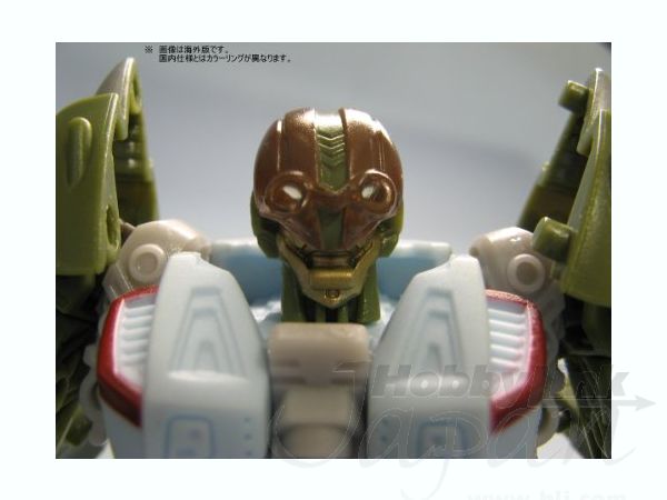 AA-11 ハイブロウ | HLJ.co.jp