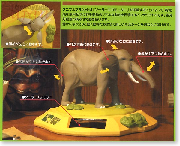 アフリカゾウ | HLJ.co.jp