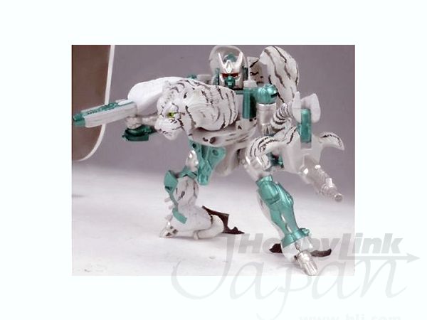 TM-11 タイガトロン | HLJ.co.jp