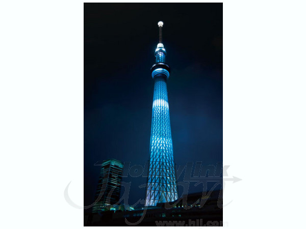1/2000 リアル 東京スカイツリー | HLJ.co.jp