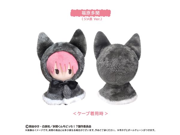 多聞くん今どっち!? ケープたぴぬい 福原多聞 (ジメ原Ver.) | HLJ.co.jp