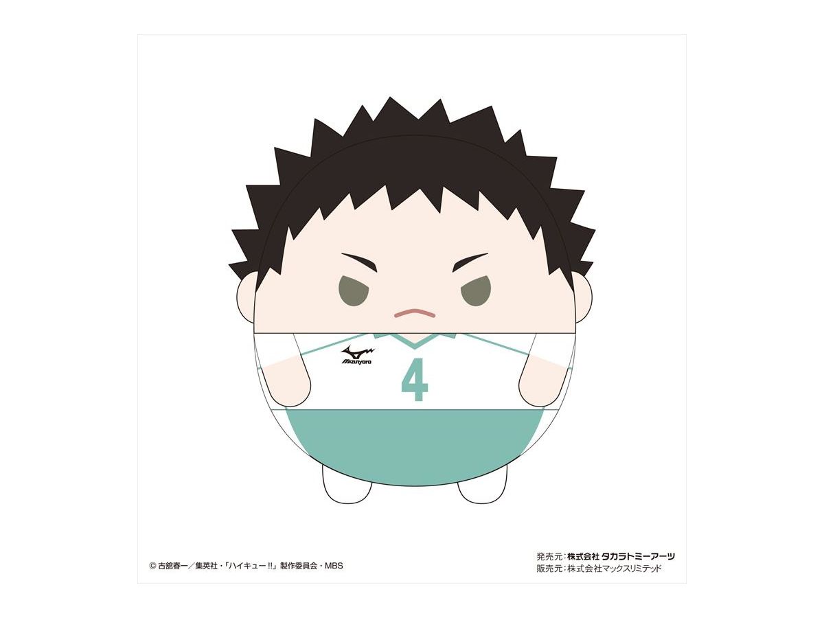 ハイキュー!! ふわコロりんMsize4 B 岩泉一 | HLJ.co.jp