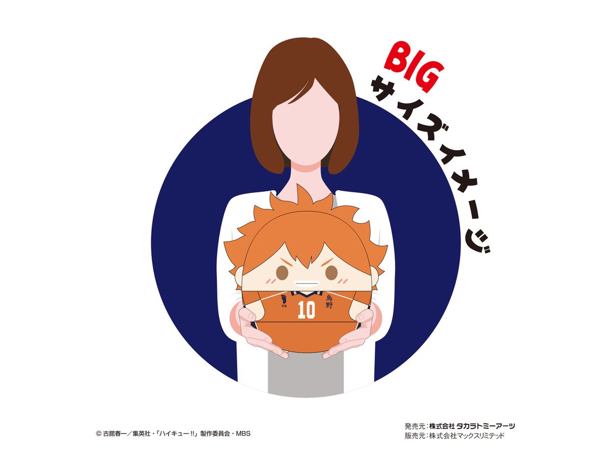 ふわコロりん　M size 5 松川 ハイキュー!! ふわコロりんBIG5 C 松川一静 | HLJ.co.jp