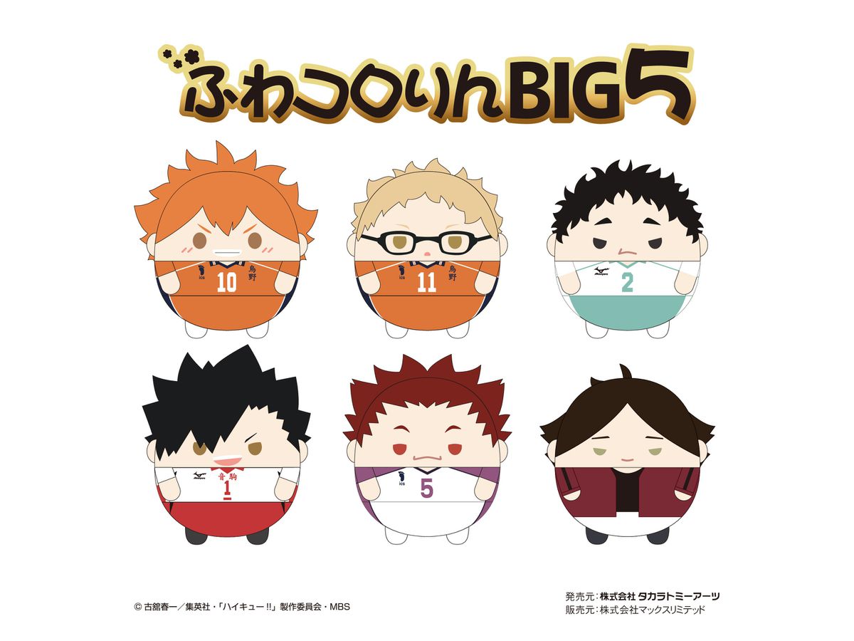 ハイキュー!! ふわコロりんBIG5 E 天童覚 | HLJ.co.jp