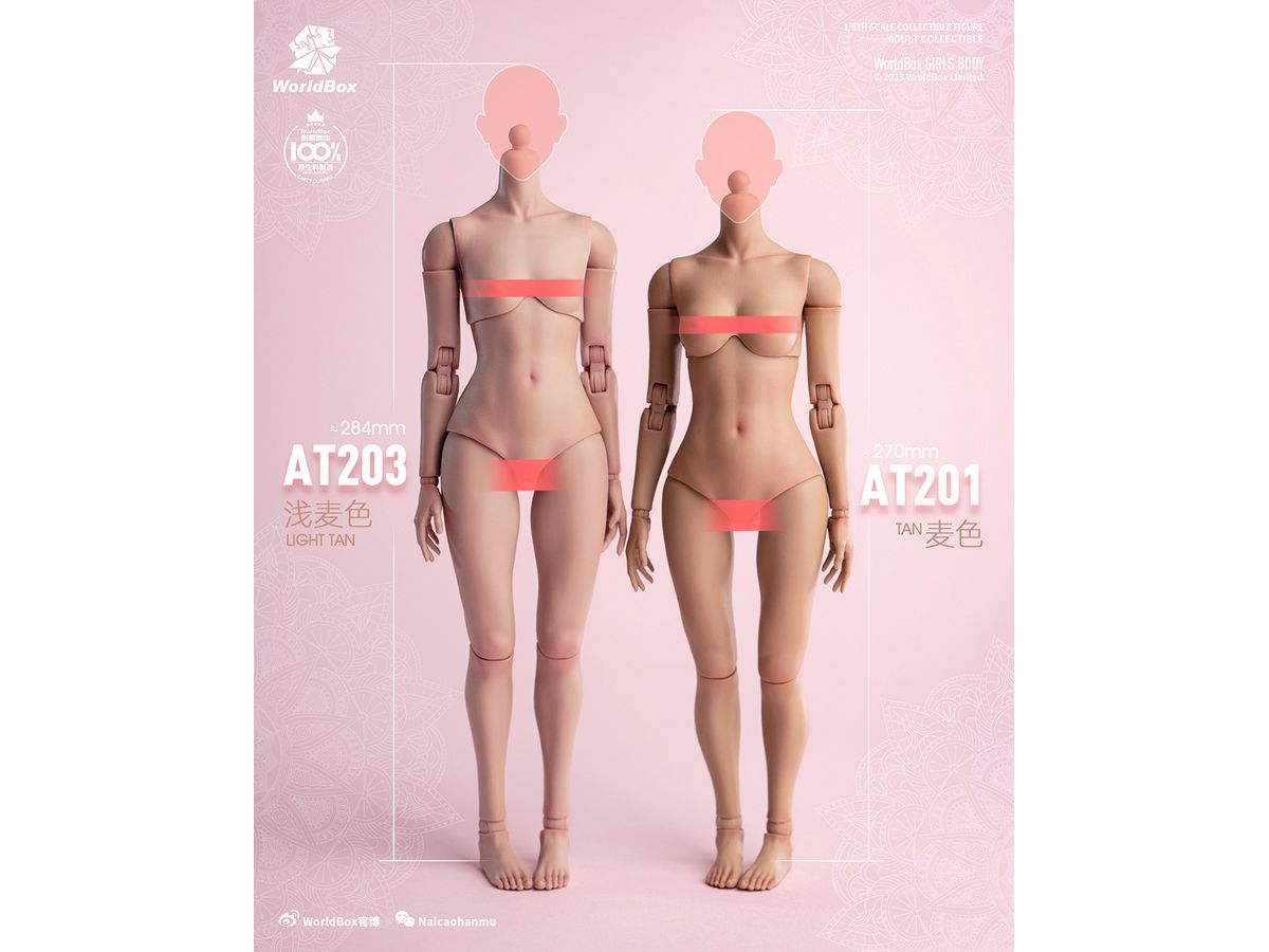 1/6 ガールボディ AT203P ペール | HLJ.co.jp