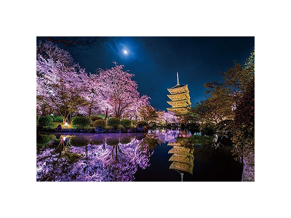 ジグソーパズル KAGAYA 月夜に咲く(京都) 1000ピース (50 x 75cm 